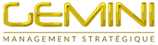 Gemini Management Stratégique